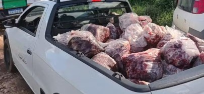 Foto: Divulgação Polícia Militar do Meio Ambiente