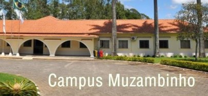 Foto: Reprodução/ Arquivo