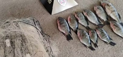 Foto: Polícia Militar