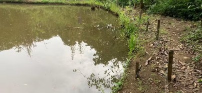 Foto: Divulgação Corpo de Bombeiros