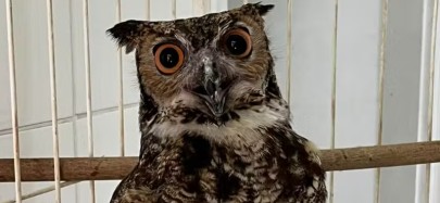 Foto: Divulgação EPR/Sul de Minas