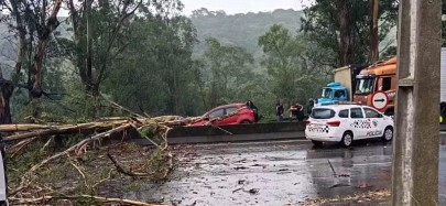 Foto: Reprodução Redes Sociais
