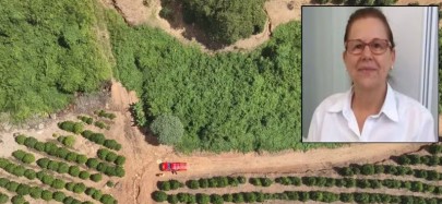 Foto: Corpo de Bombeiros / Redes sociais