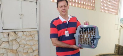 Foto: Conselho do Bem-Estar Animal Guaxupé